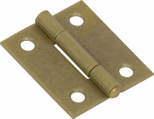 Hillman Light Narrow Door Hinge - Brass Perspective: front