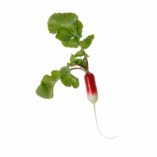 French Breakfast Radish Perspective: front