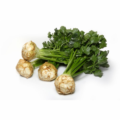 Celery Root with Tops Perspective: front
