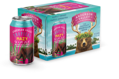 Anderson Valley Tropical Hazy Sour Craft Beer Perspective: front