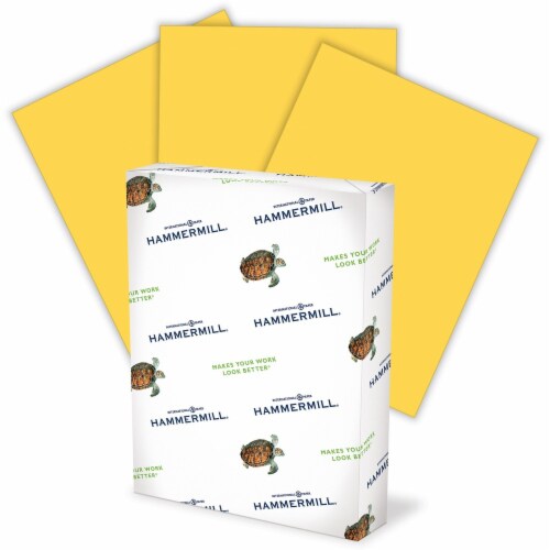 Hammermill Paper for Copy Copy & Multipurpose Paper 103168CT Perspective: front