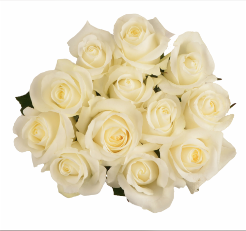 Bloom Haus White Dozen Rose Bouquet Perspective: front