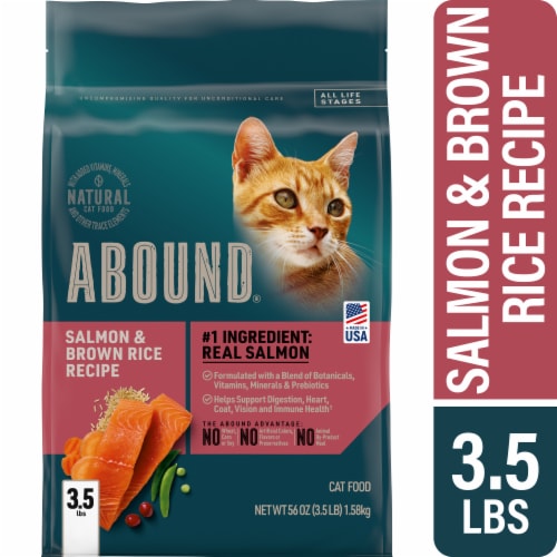 Salmon dry deals cat food