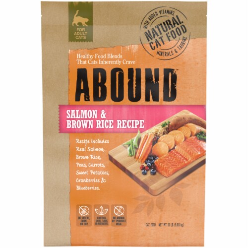 Abound Salmon & Brown Rice Recipe Adult Dry Cat Food Perspective: front