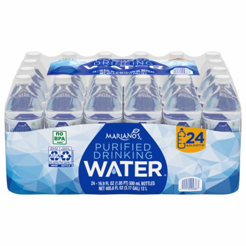 Aquafina 24-Pack 16.9-fl oz Purified Bottled Water in the Water