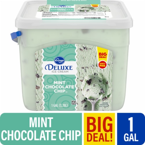 Kroger® Deluxe Mint Chocolate Chip Ice Cream Pail BIG DEAL! Perspective: front