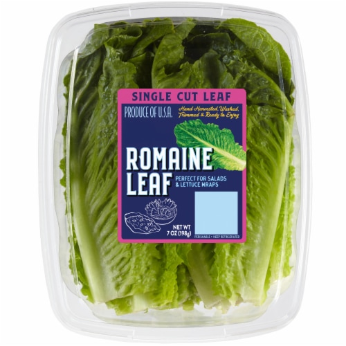 Romaine Leaf Single Cut Leaf