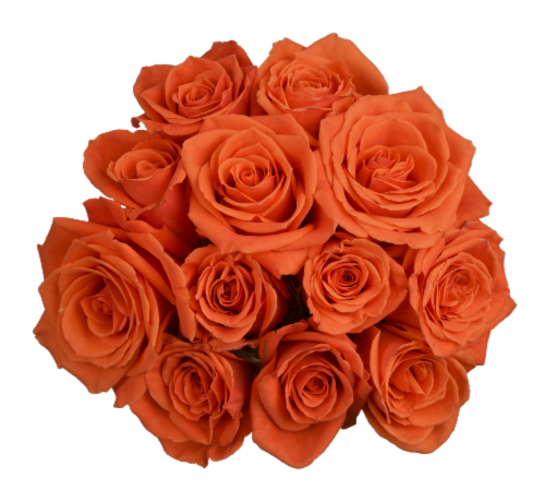 Bloom Haus™ Dozen Rose Bunch - Orange Perspective: front