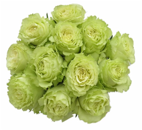 Bloom Haus™ Dozen Rose Bunch - Green Perspective: front