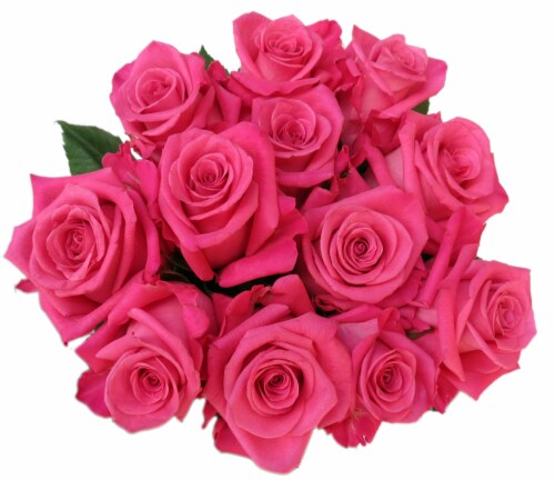 Bloom Haus™ Dozen Rose Bunch - Hot Pink, 12-stem