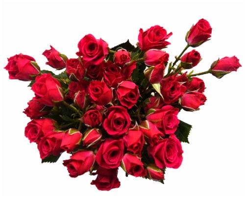 Bloom Haus Garden Delight - Hot Pink Spray Roses Perspective: front
