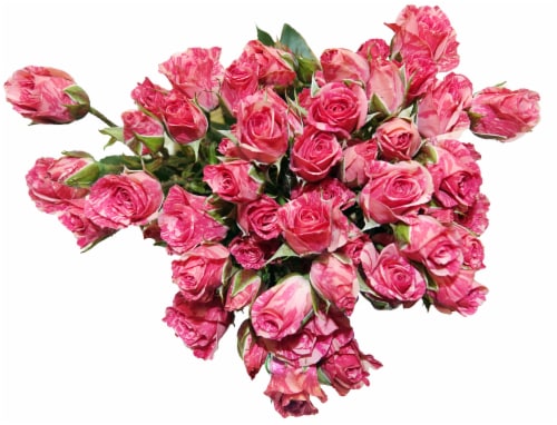 Bloom Haus Garden Delight - Pink Spray Roses Perspective: front