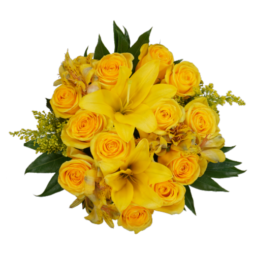 Bloom Haus™ 12 Plus Rose Bouquet - Yellow Perspective: front