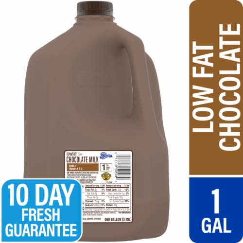 Mountain Dairy™ Chocolate Milk Perspective: front