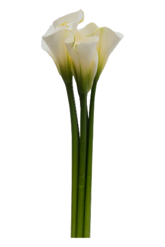 BLOOM HAUS™ Calla Designer White Perspective: front