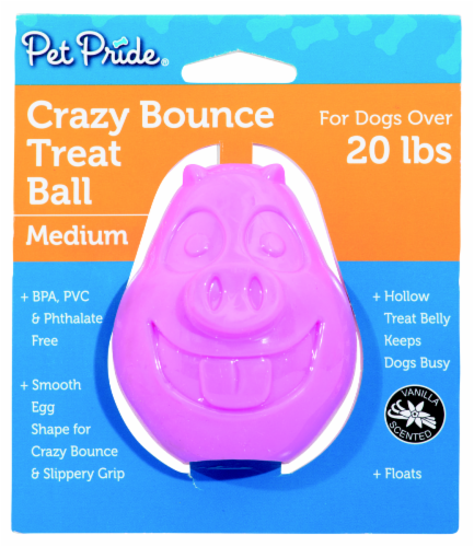 Pet Pride® Medium Crazy Bounce Treat Ball Perspective: front