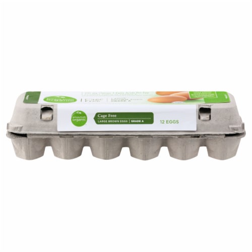 Simple Truth Organic™ Cage Free Grade A Large Brown Eggs Perspective: front