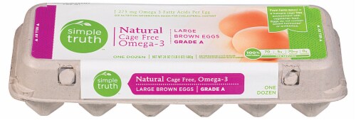 Simple Truth™ Cage Free Omega-3 Grade A Large Brown Eggs Perspective: front