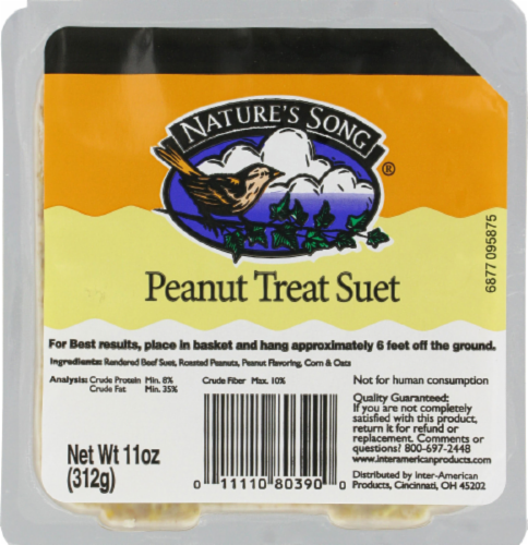Nature's Song® Peanut Treat Suet Wild Bird Food Perspective: front