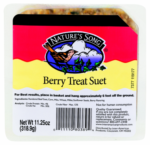 Nature's Song® Berry Treat Suet Perspective: front