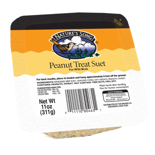 Nature's Song® Peanut Treat Suet Perspective: front
