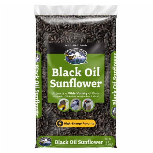Nature's Song® Premium Black Oil Sunflower Seed Bird Food Perspective: front