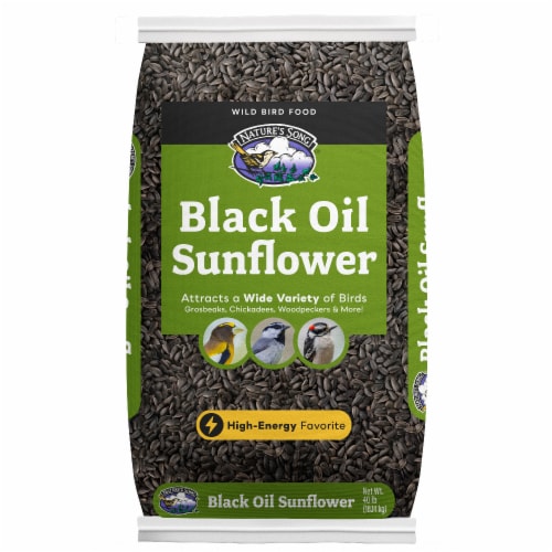 Audubon Park® Black Oil Sunflower Seed Wild Bird Food Perspective: front