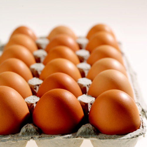 Fred Meyer® Cage Free Grade AA Large Brown Eggs Perspective: front