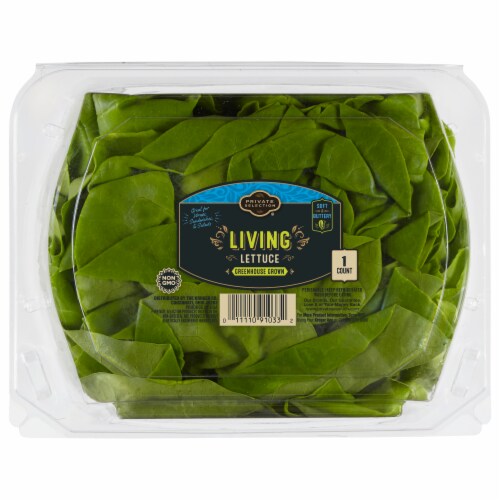 Private Selection® Living Lettuce Perspective: front