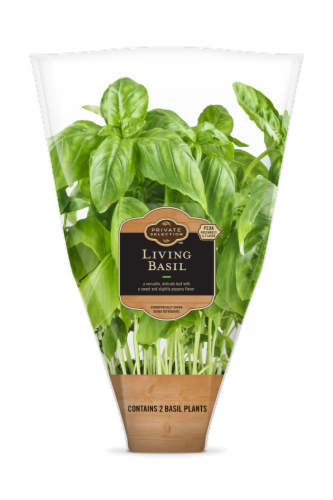Private Selection™ Living Basil Perspective: front