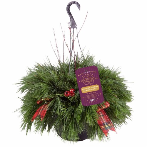 Bloom Haus Outdoor Holiday Hanging Basket Perspective: front