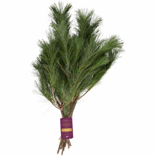 BLOOM HAUS™ White Pine Boughs 5 Count Perspective: front