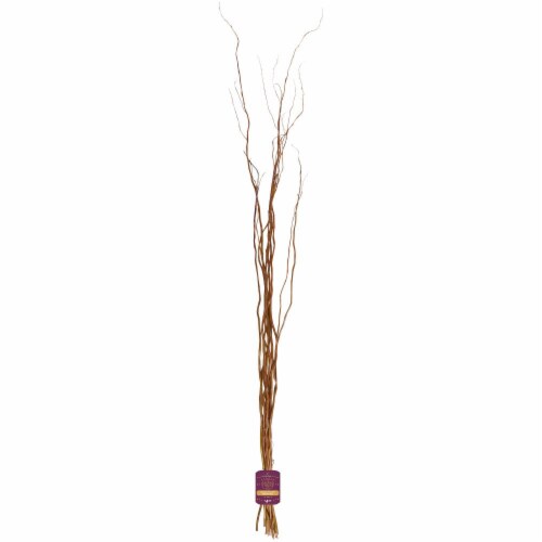 Bloom Haus Curly Willow Bunch Perspective: front