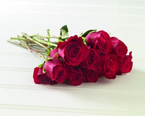 Bloom Haus Red Roses Perspective: front