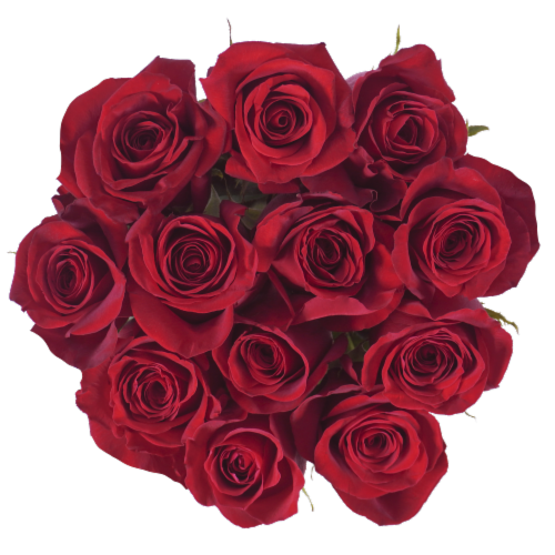 Bloom Haus™ Dozen Rose Bunch - Red, 12 stems