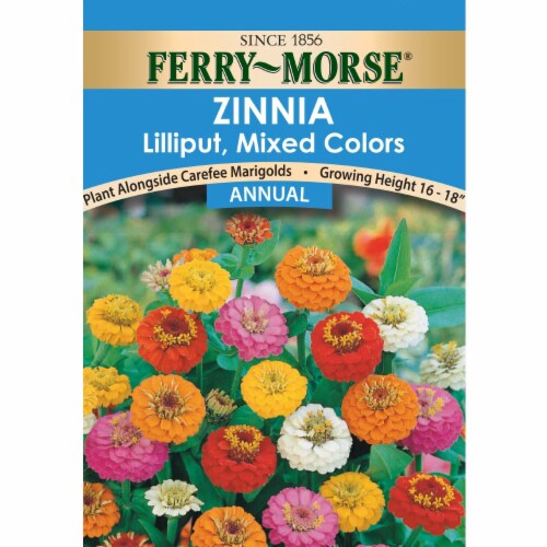 Ferry-Morse Lilliput Mixed Colors Zinnia Seeds Perspective: front