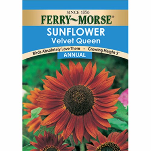 Ferry-Morse Velvet Queen Sunflower Seeds Perspective: front