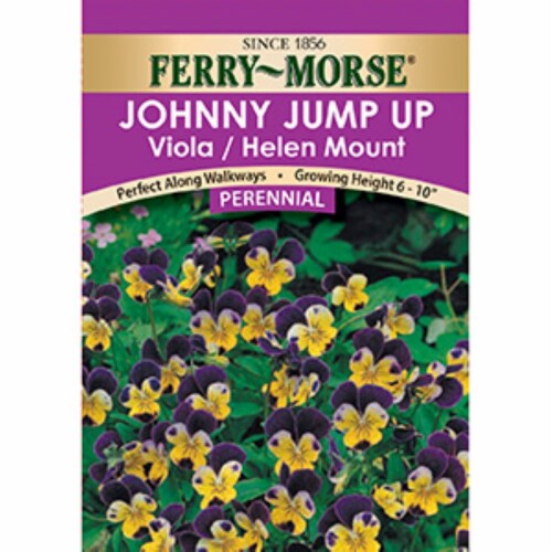 Ferry-Morse Viola Helen Mount Johnny Jump Up Seeds Perspective: front