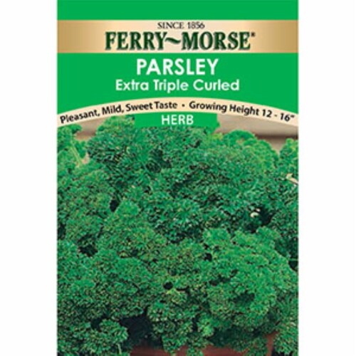 Ferry-Morse Extra Triple Curled Parsley Seeds Perspective: front