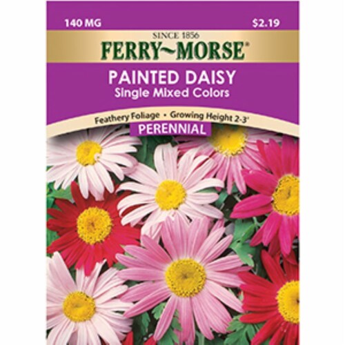 Ferry-Morse Painted Daisy Single Mixed Colors Flower Seeds Perspective: front