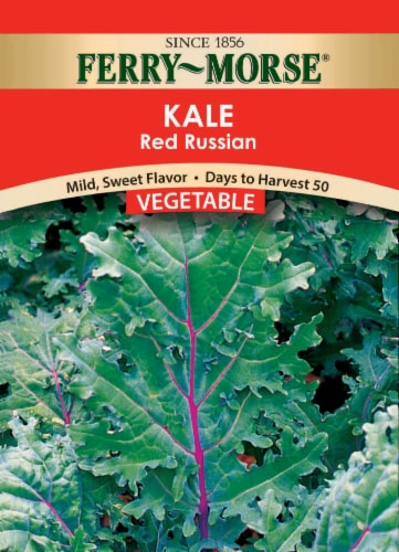 Ferry-Morse Red Russian Kale Seeds Perspective: front