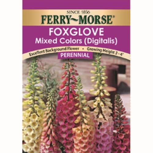 Ferry-Morse Foxglove Mixed Colors Flower Seeds Perspective: front