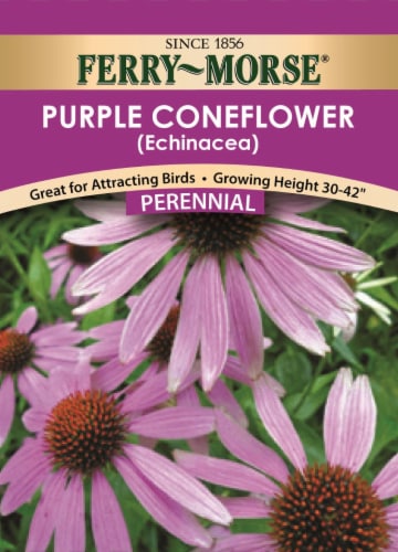 Ferry-Morse Echinacea Purple Coneflower Seeds Perspective: front