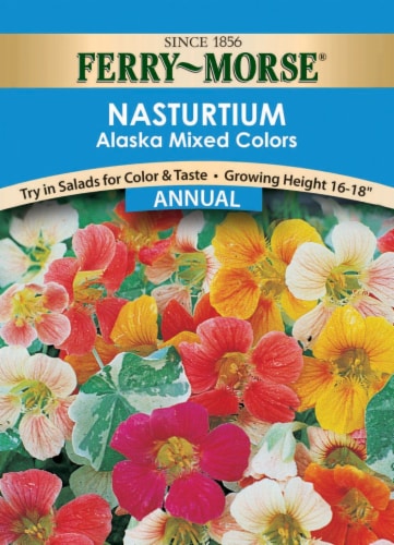 Ferry-Morse Alaska Mixed Colors Nasturtium Seeds Perspective: front