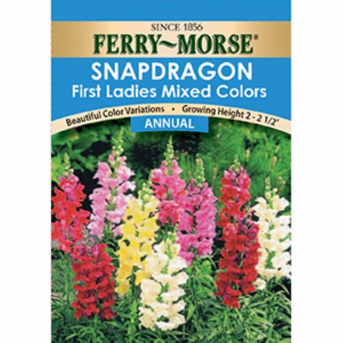 Ferry-Morse Snapdragon First Ladies Mixed Colors Flower Seeds Perspective: front
