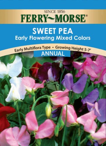 Ferry-Morse Early Flowering Mixed Colors Sweat Pea Seeds Perspective: front