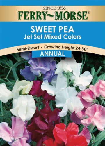 Ferry-Morse Jet Set Mixed Colors Sweet Pea Seeds Perspective: front