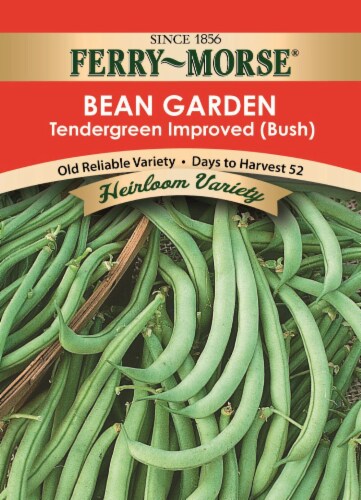 Ferry-Morse Tendergreen Improved Bush Bean Garden Seeds Perspective: front