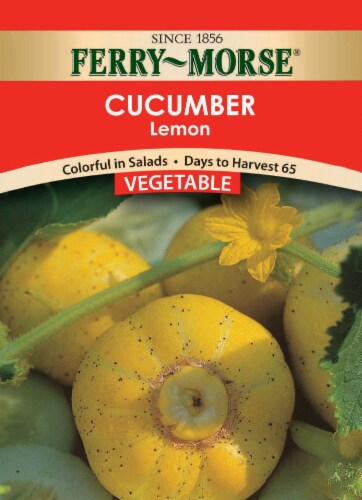 Ferry-Morse Lemon Cucumber Seeds Perspective: front