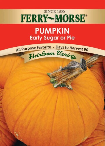 Ferry-Morse Early Sugar or Pie Pumpkin Seeds Perspective: front